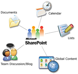 Sharepoint Experience