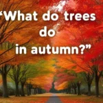 What Do Trees Do in Autumn Riddle Answer