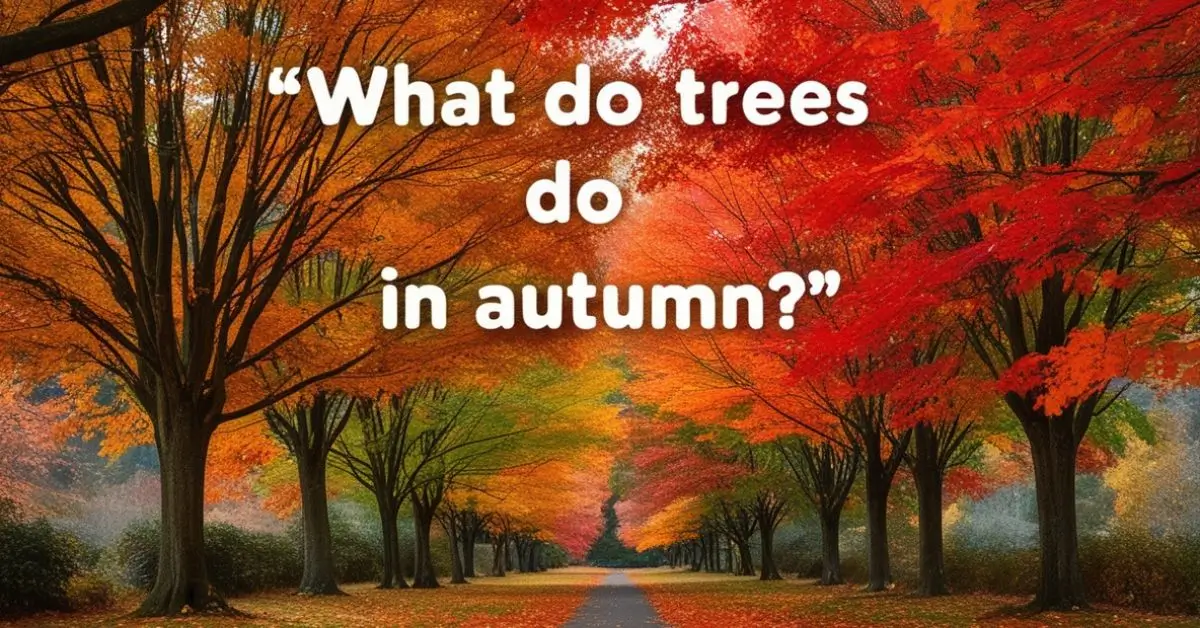 What Do Trees Do in Autumn Riddle Answer