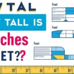 How Tall Is 48 Inches in Feet