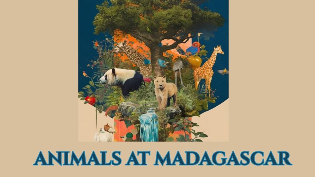 Unique Animals at Madagascar: A Wildlife Paradise